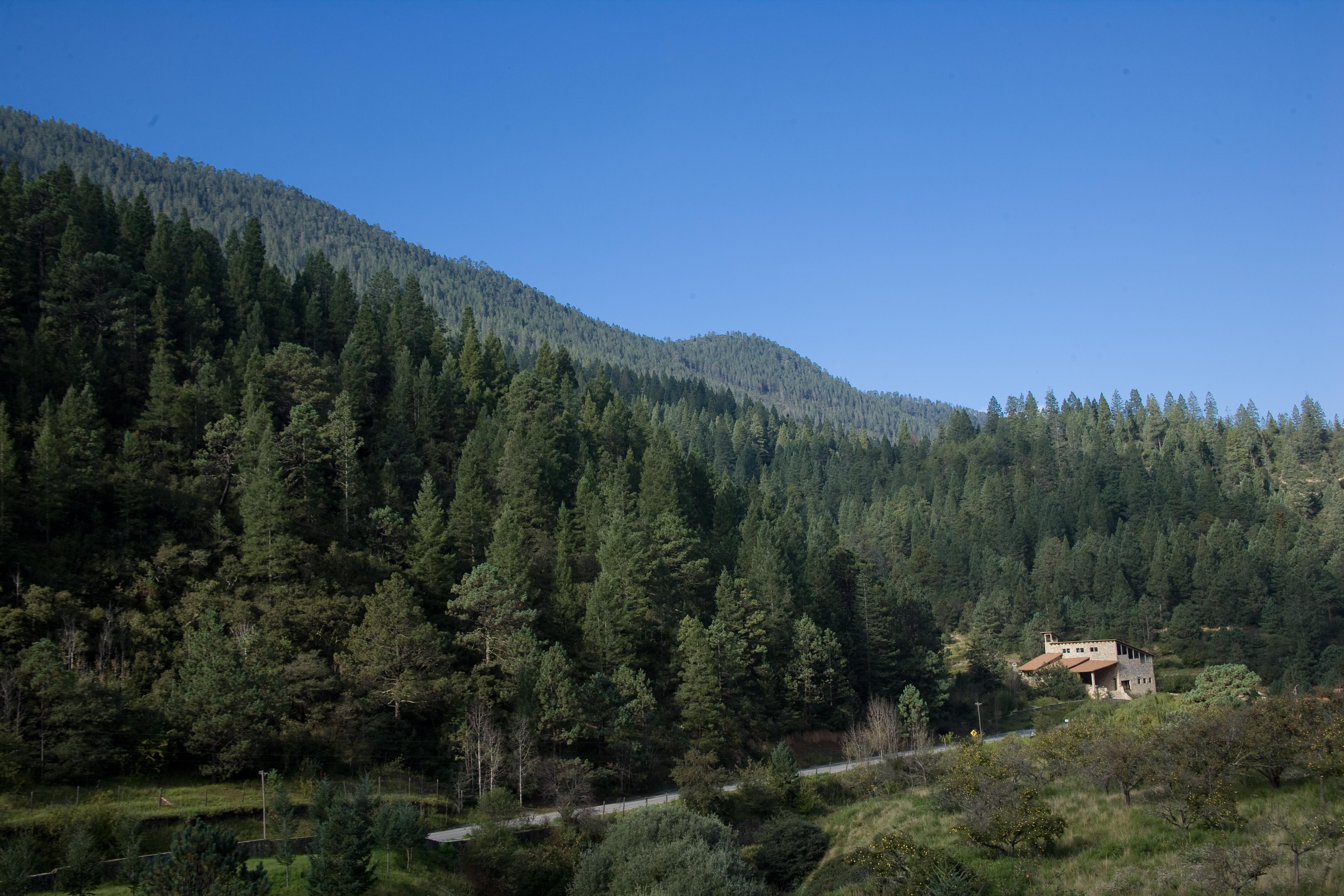 Bosques De Monterreal Hotel San Antonio de las Alazanas Екстериор снимка
