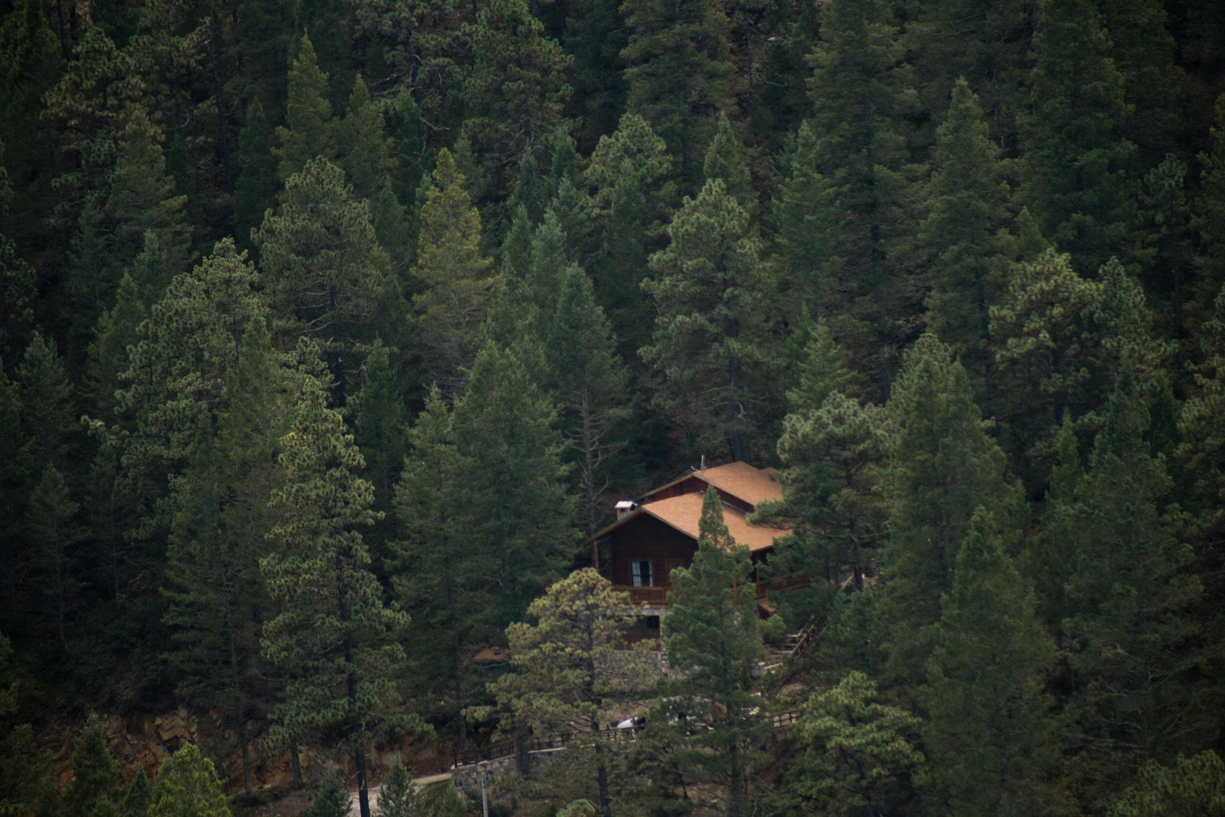 Bosques De Monterreal Hotel San Antonio de las Alazanas Екстериор снимка
