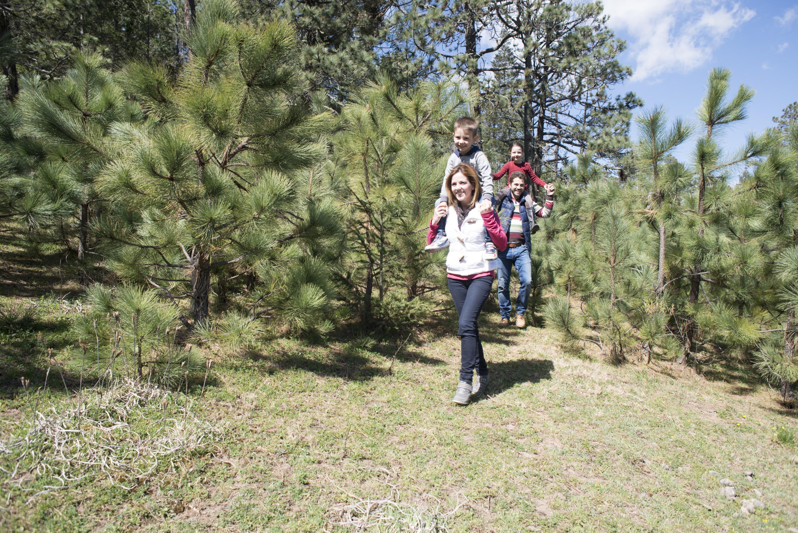 Bosques De Monterreal Hotel San Antonio de las Alazanas Екстериор снимка